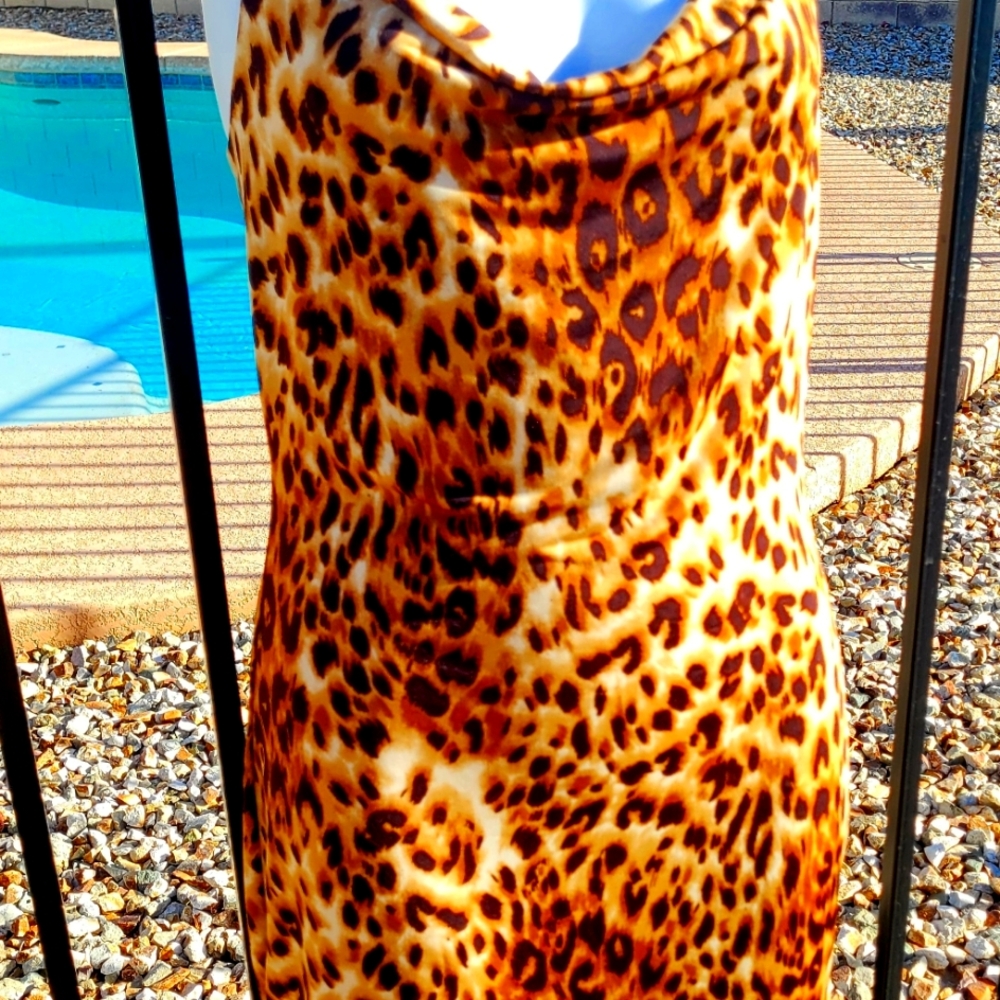 Publik Chetah Print Dress